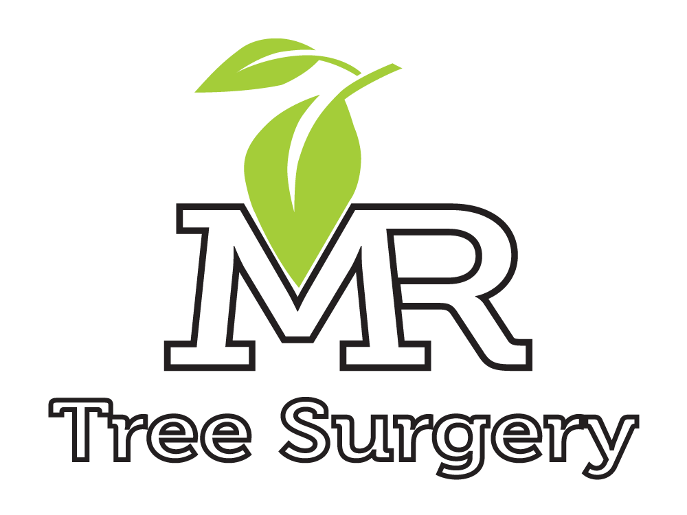 M.R Tree Surgery