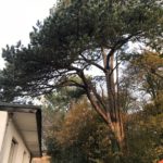 IMG-20181112-WA0003