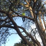 IMG-20181112-WA0008