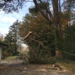 IMG-20181112-WA0010